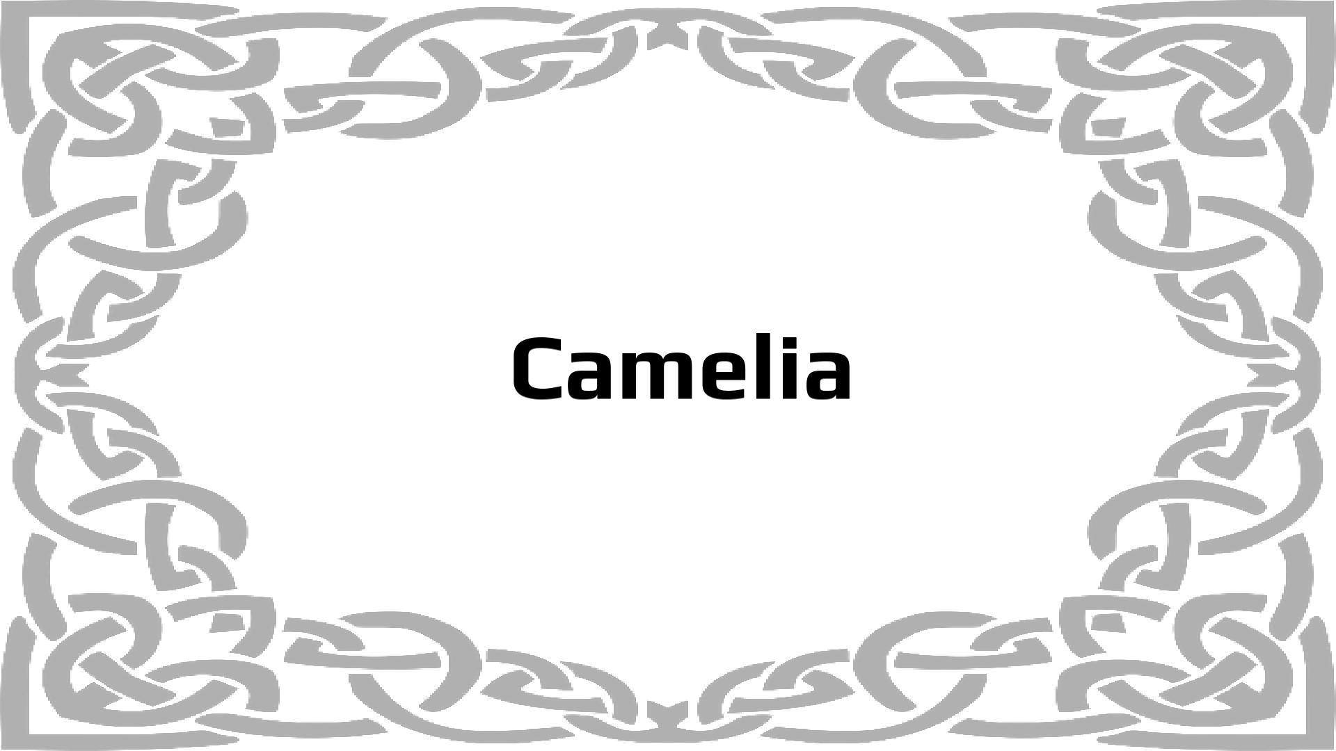 Nombres que significan Cantidad