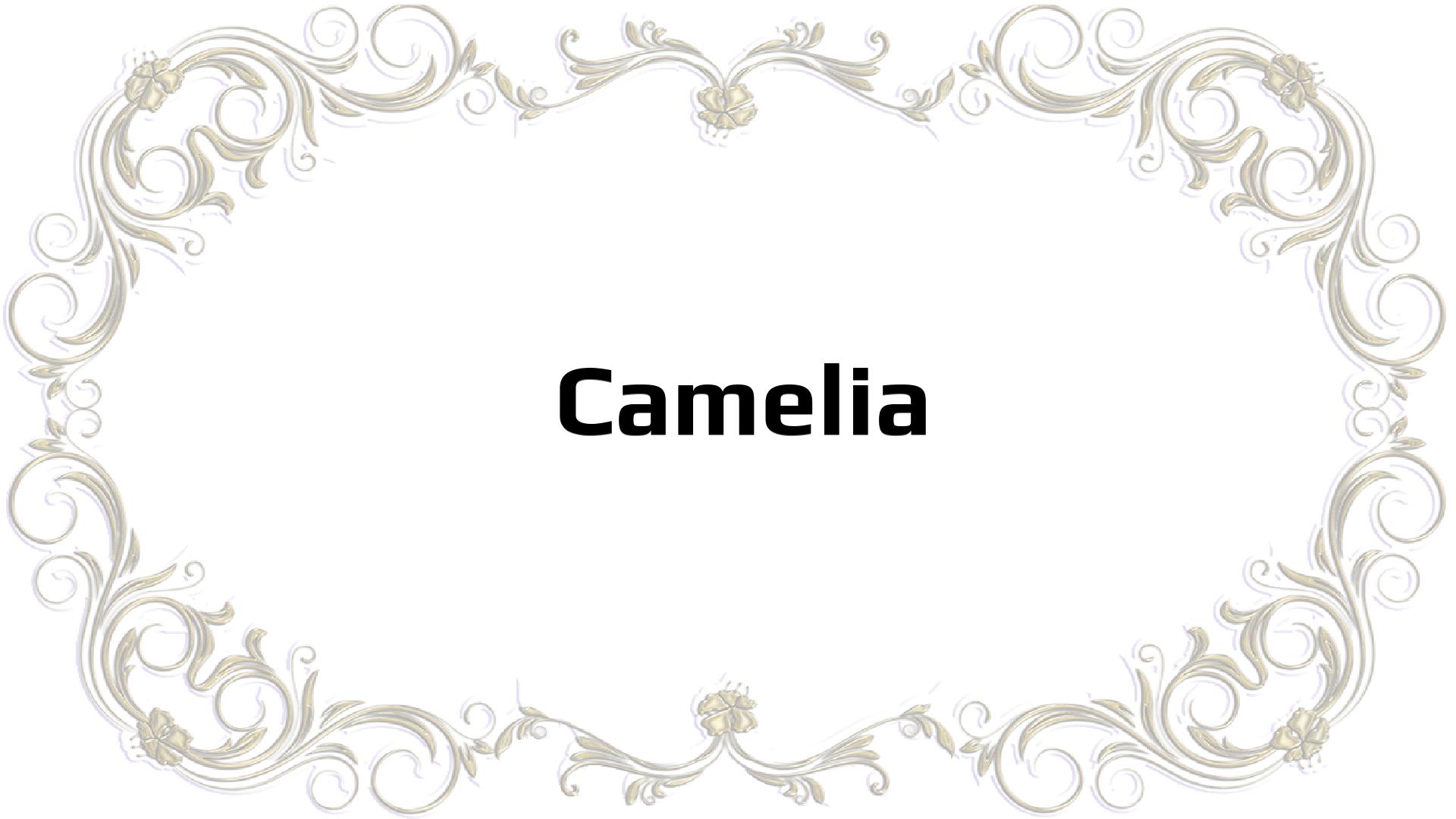 Nombres que significan Laboral