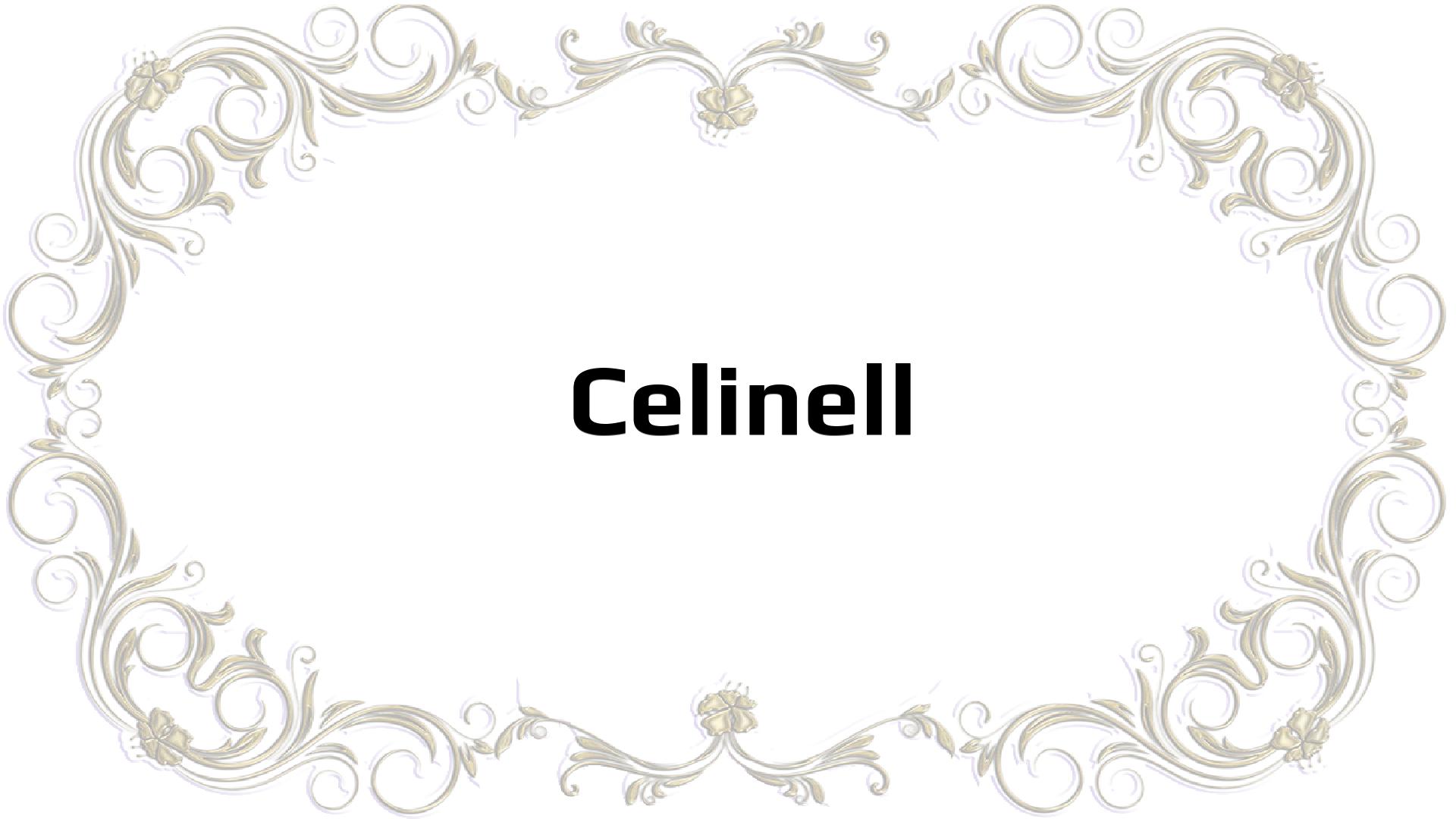 Nombres que significan Detallista