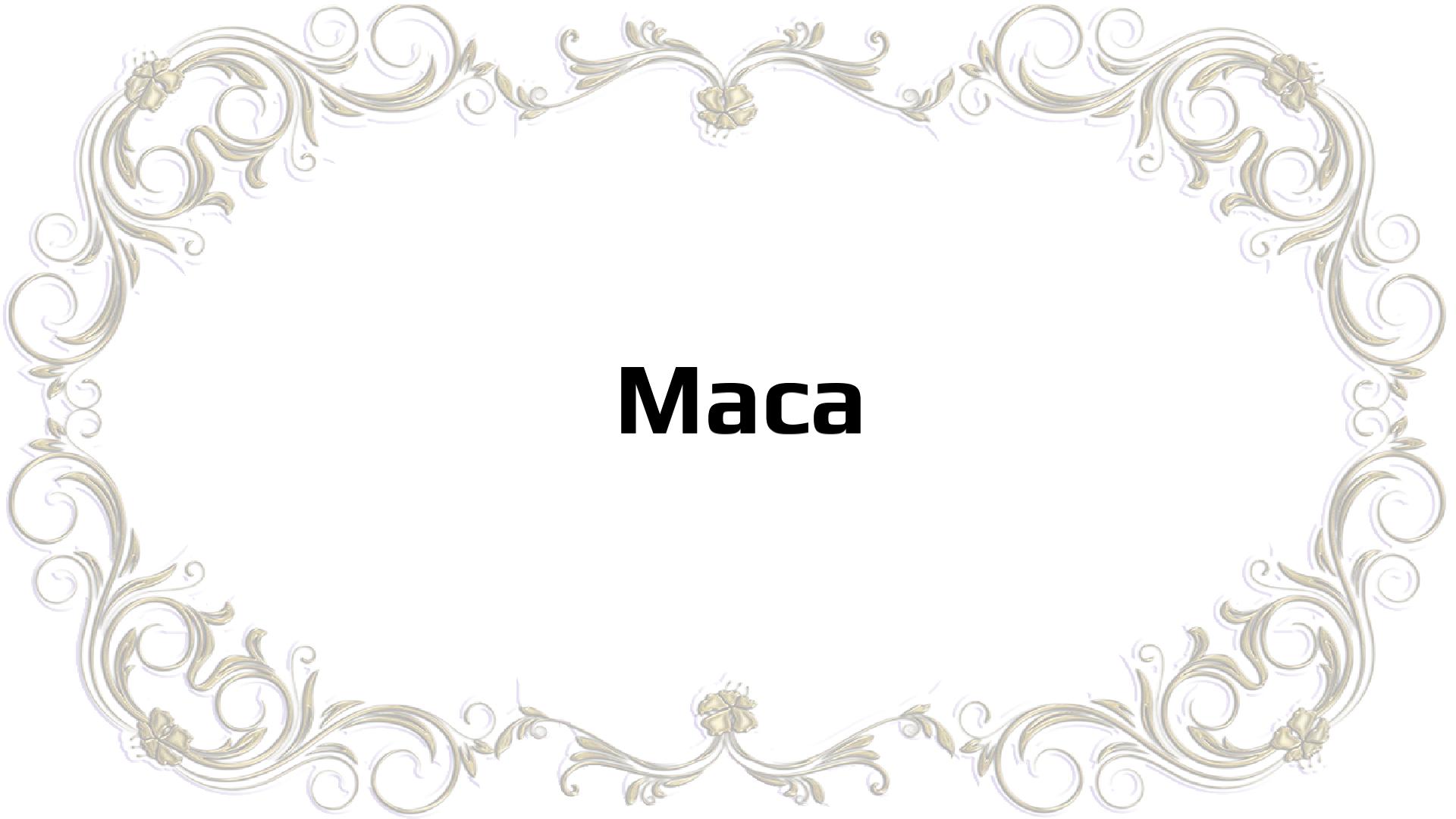 Nombres que significan Aventura